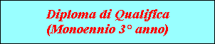 Diploma di Qualifica
(Monoennio 3Ã‚Â° anno)